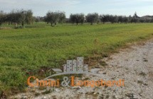 Terreni Garrufo - Immagine 2
