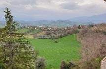 Sant’Omero locale commerciale – ufficio - Immagine 6