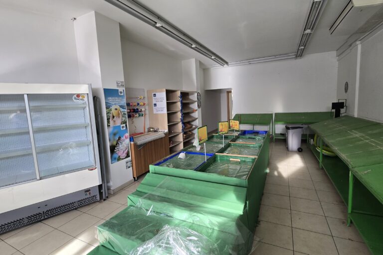 Nereto locale commerciale ottima visibilità - Immagine 7