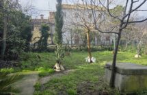 Casa affiancata con giardino - Immagine 10