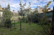 Casa affiancata con giardino - Immagine 9