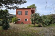 Casa singola immersa nel verde - Immagine 3