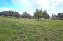 Casolare con terreno agricolo - Immagine 6