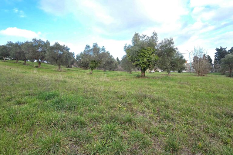 Casolare con terreno agricolo - Immagine 6