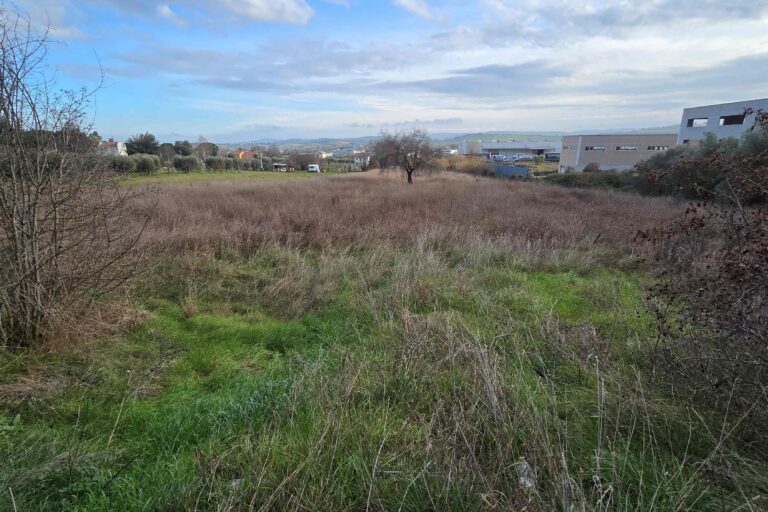 Casolare con terreno agricolo - Immagine 10