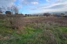 Casolare con terreno agricolo - Immagine 9