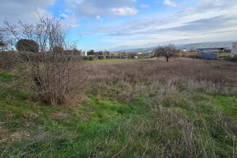 Casolare con terreno agricolo - Immagine 9