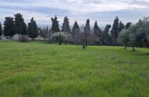 Casolare con terreno agricolo - Immagine 5