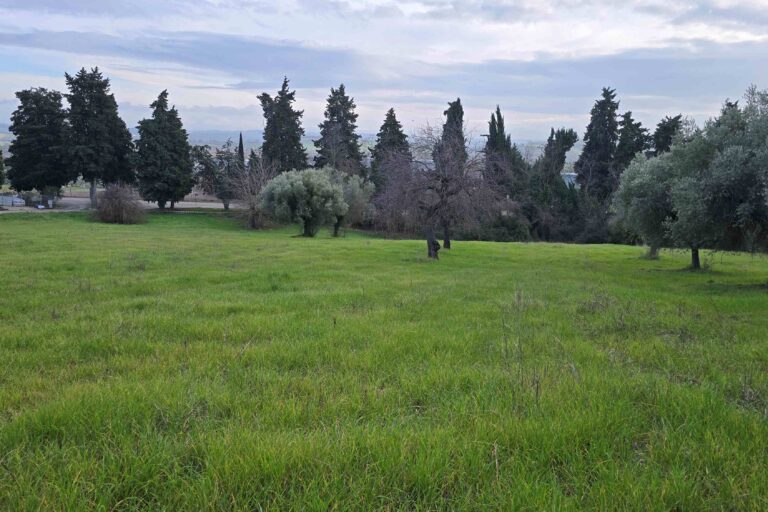 Casolare con terreno agricolo - Immagine 5