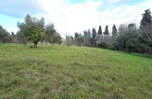 Casolare con terreno agricolo - Immagine 8