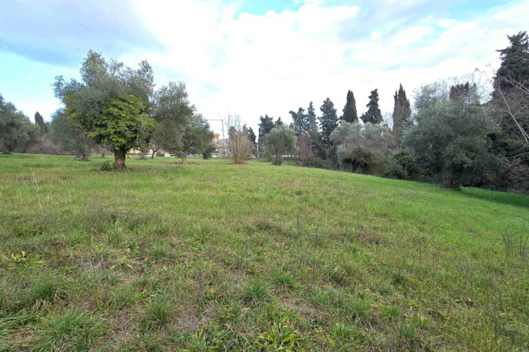 Casolare con terreno agricolo - Immagine 8