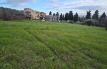 Casolare con terreno agricolo - Immagine 3