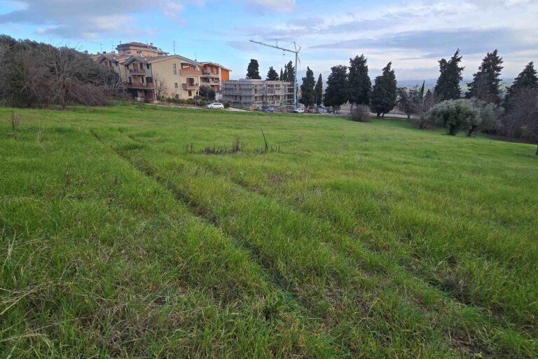 Casolare con terreno agricolo - Immagine 3