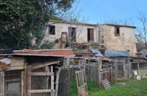 Casolare con terreno agricolo - Immagine 2