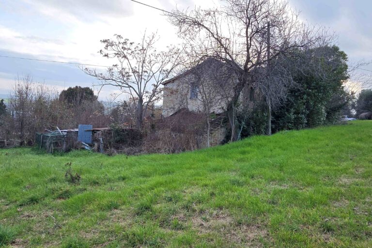 Casolare con terreno agricolo - Immagine 4