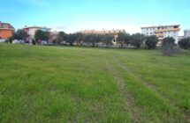 Casolare con terreno agricolo - Immagine 7