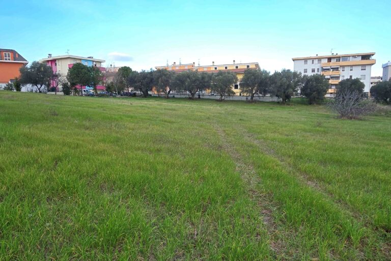 Casolare con terreno agricolo - Immagine 7