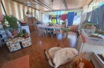 Casa singola Cesenà – Campli - Immagine 9