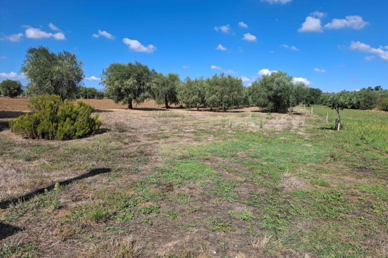 Casa singola con 2 abitazioni - Immagine 10